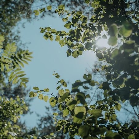 Forest Cabin - 50Min Od Warszawy Wola Polska Eksteriør bilde