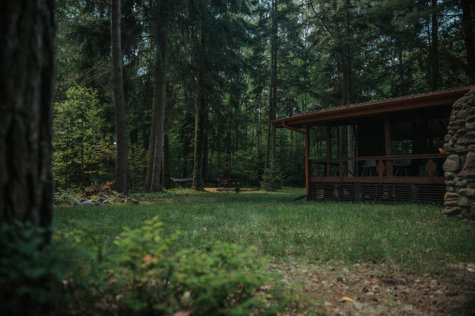 Forest Cabin - 50Min Od Warszawy Wola Polska Eksteriør bilde