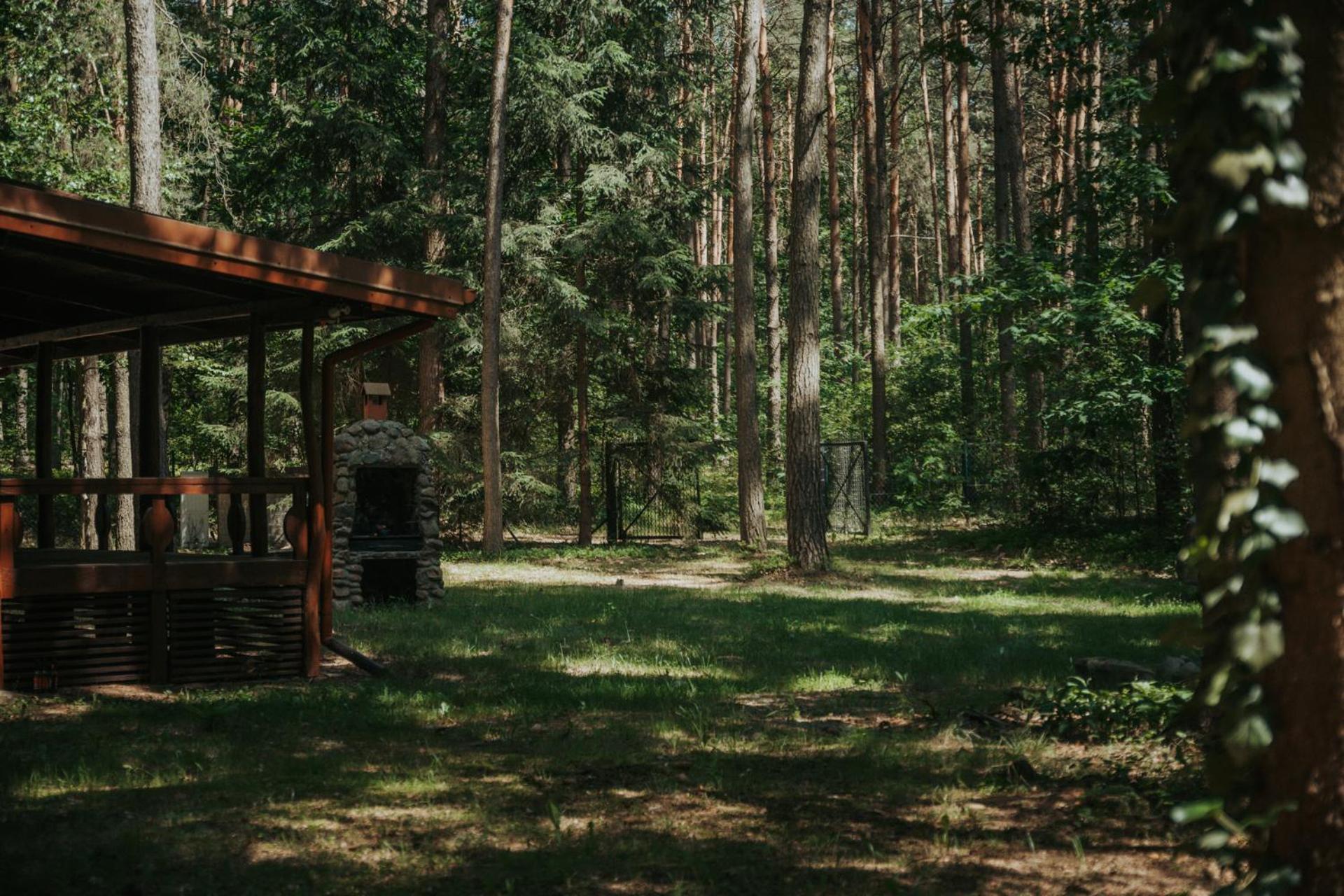 Forest Cabin - 50Min Od Warszawy Wola Polska Eksteriør bilde