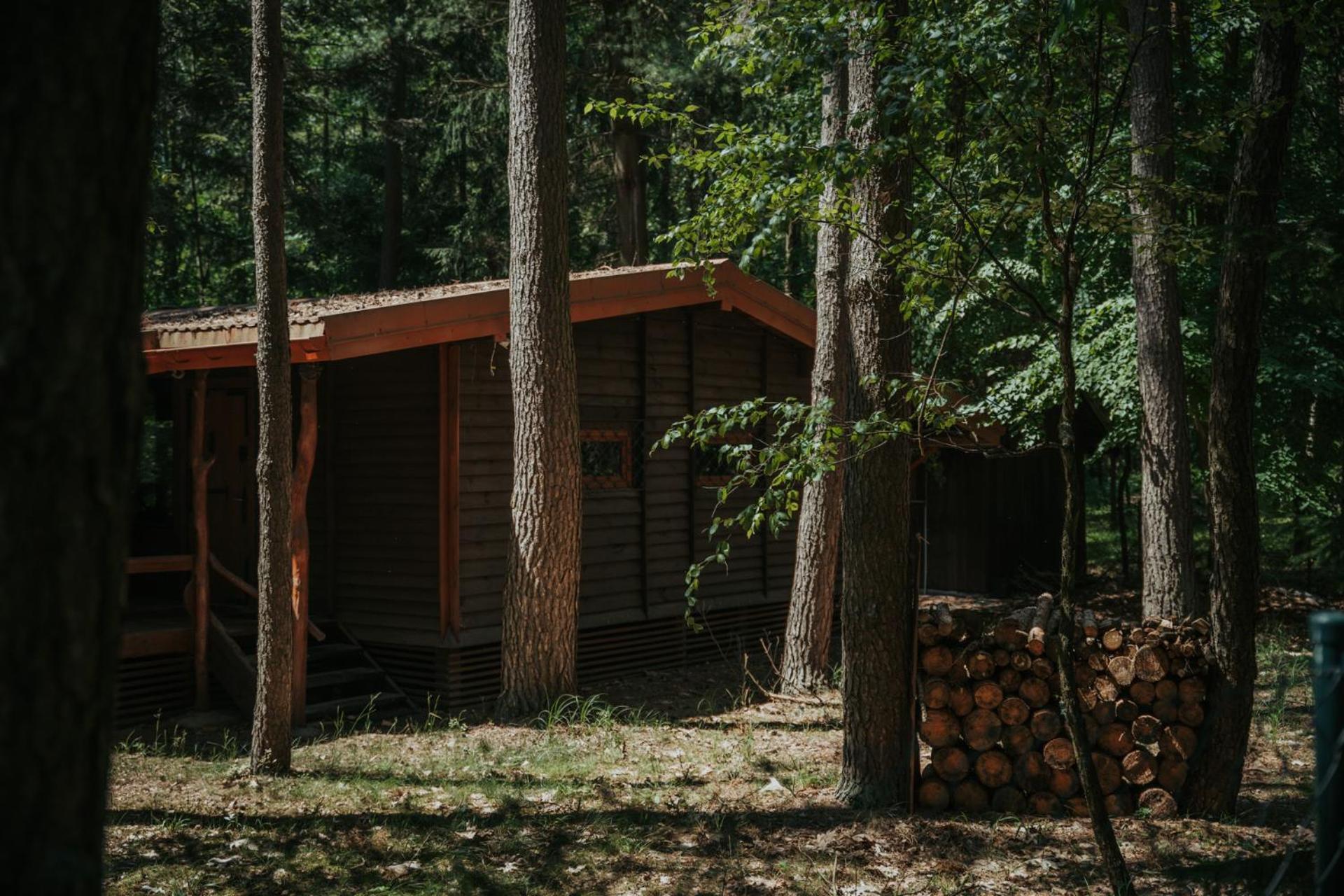 Forest Cabin - 50Min Od Warszawy Wola Polska Eksteriør bilde