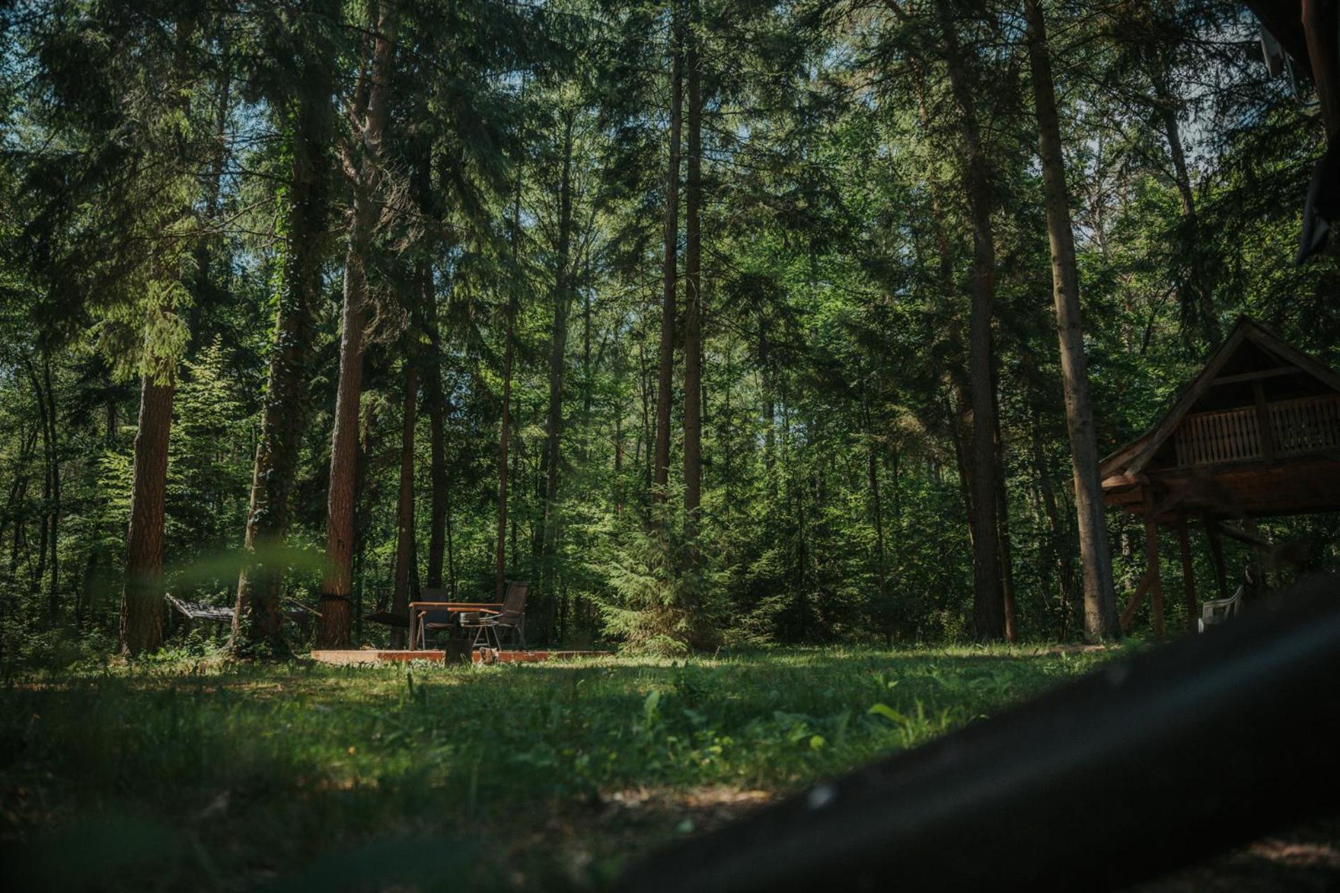 Forest Cabin - 50Min Od Warszawy Wola Polska Eksteriør bilde