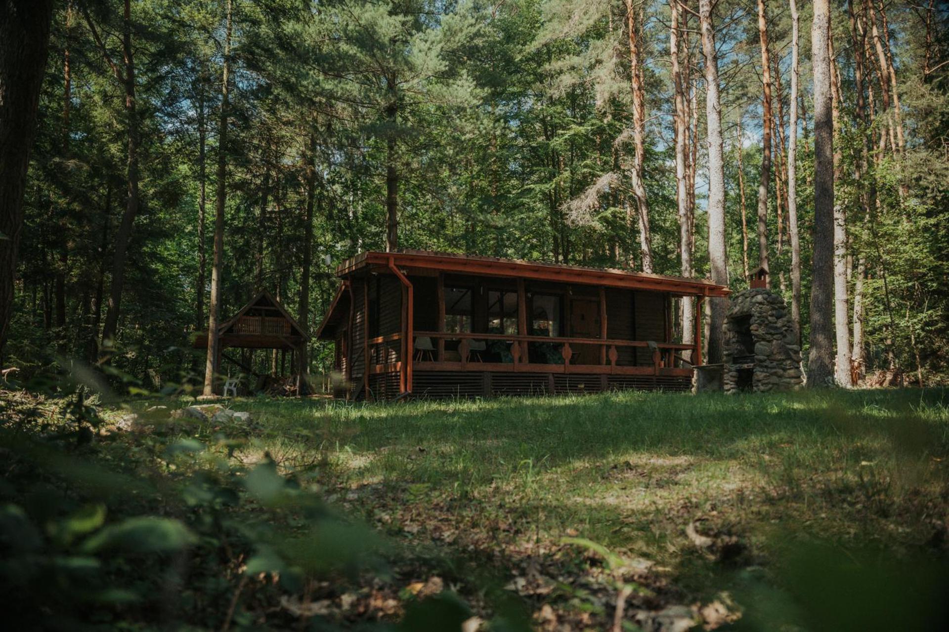 Forest Cabin - 50Min Od Warszawy Wola Polska Eksteriør bilde
