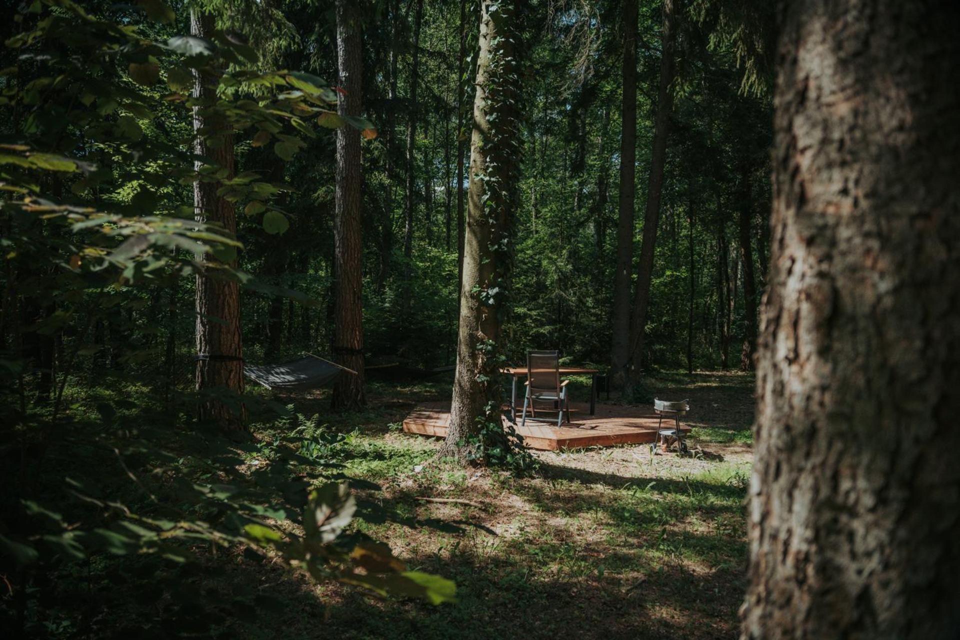 Forest Cabin - 50Min Od Warszawy Wola Polska Eksteriør bilde