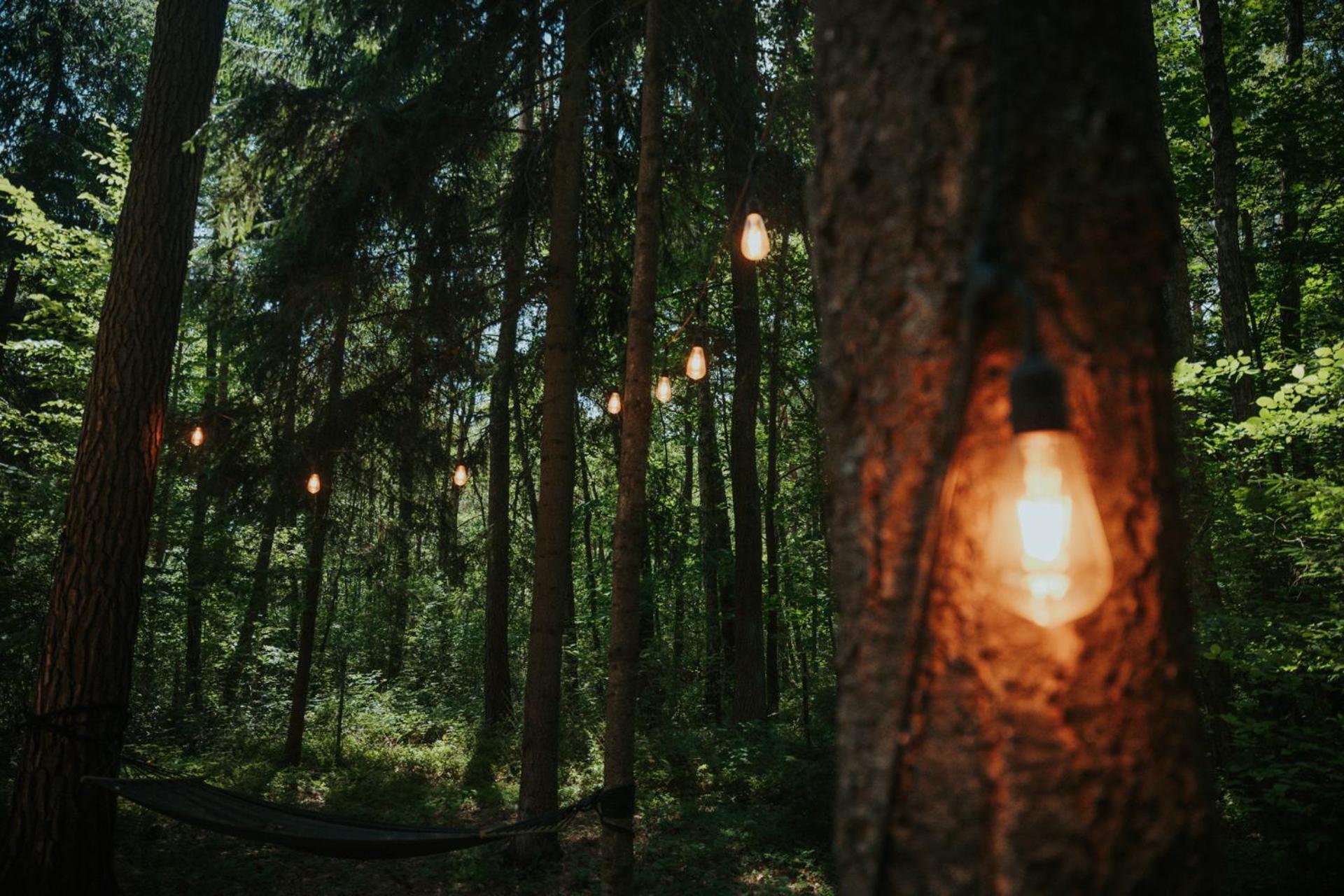 Forest Cabin - 50Min Od Warszawy Wola Polska Eksteriør bilde