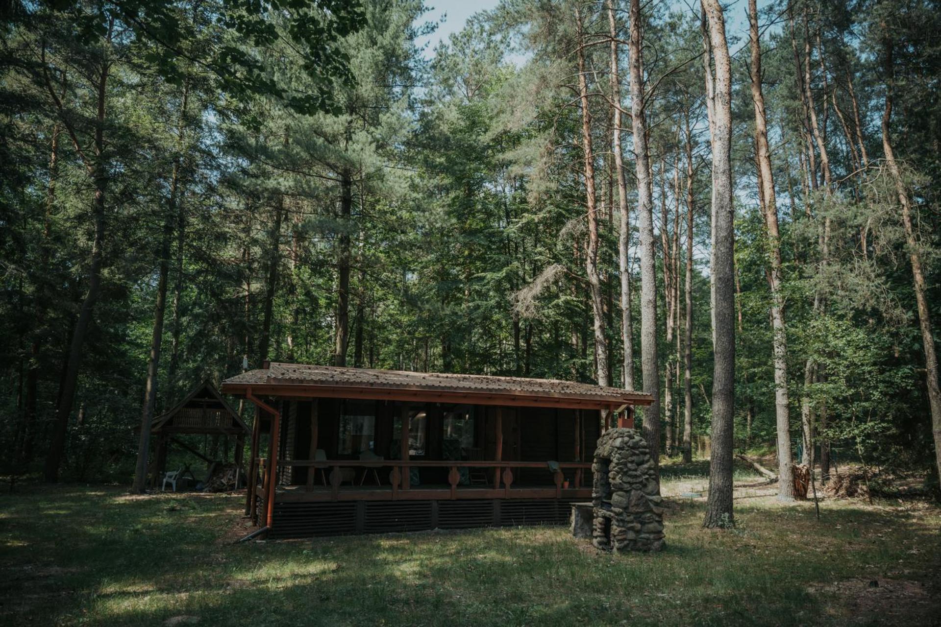 Forest Cabin - 50Min Od Warszawy Wola Polska Eksteriør bilde