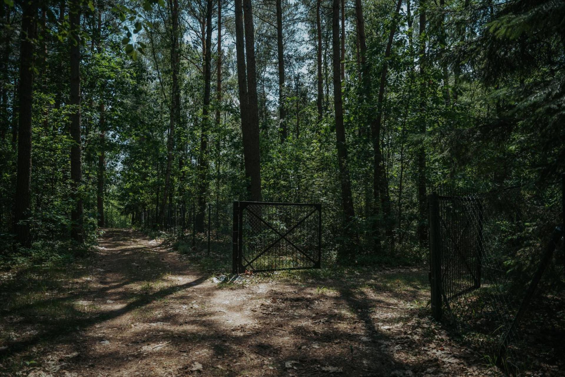 Forest Cabin - 50Min Od Warszawy Wola Polska Eksteriør bilde